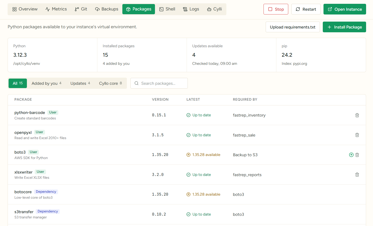 Python packages screen in Cyllo Cloud